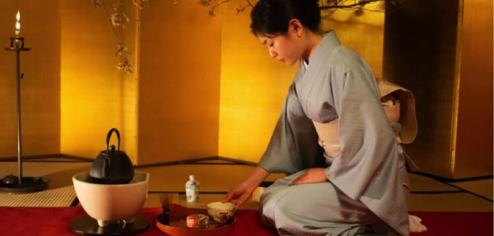culture du thé au japon