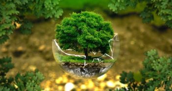 environmental-protection